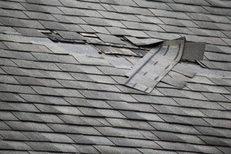 Asphalt Roof Leak Repair in Elbert, CO