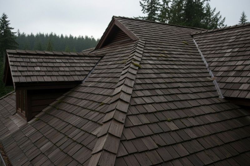 Cedar Shake Roof Replacement in Colorado Springs, CO