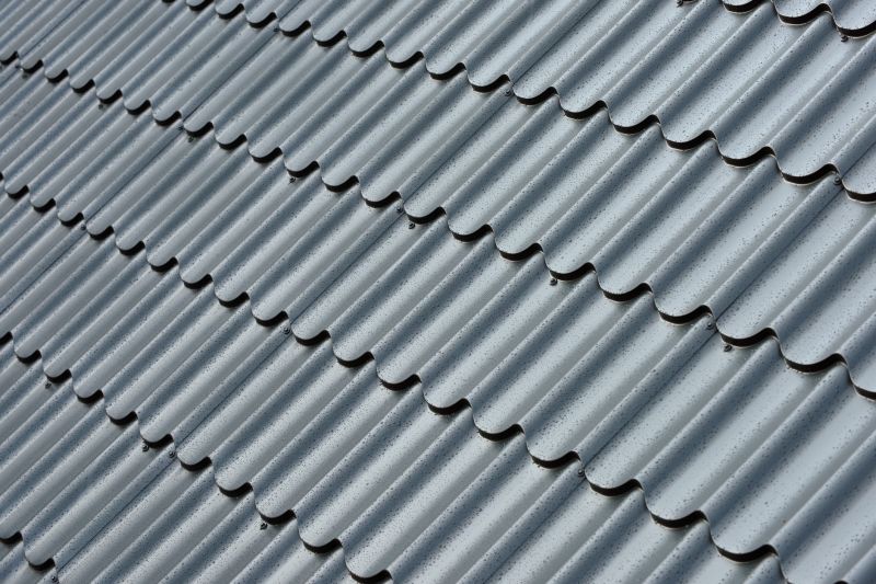 Corrugated Roof Repair in Palmer Lake, CO