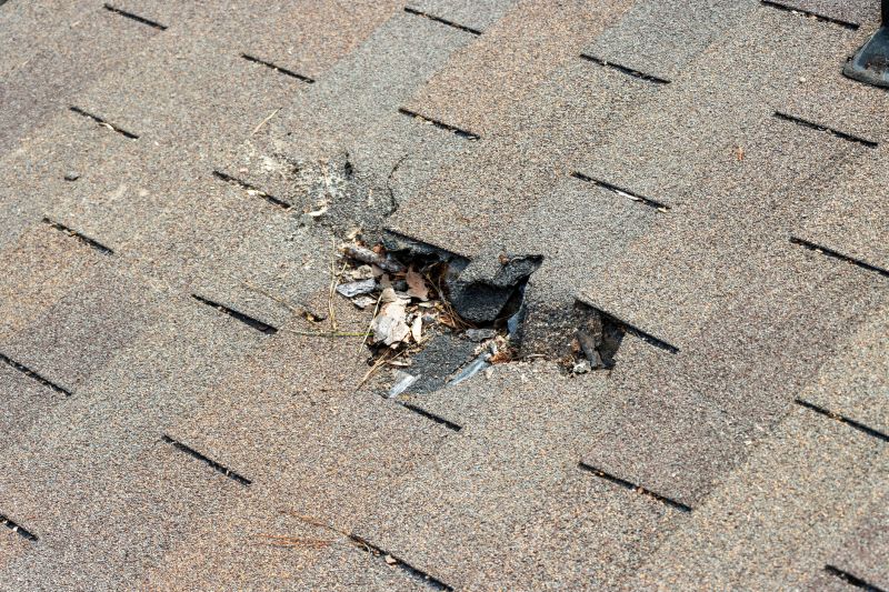 Damaged Roof Replacement in Colorado Springs, CO