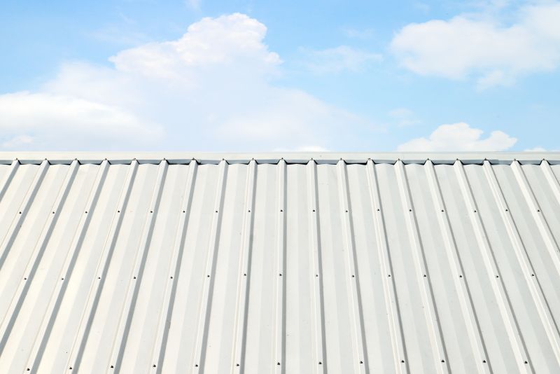Metal Roof Coating Service in Colorado Springs, CO
