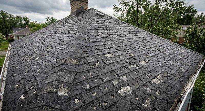 Roof Damage Repair in Palmer Lake, CO