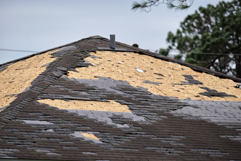 Storm Damage Roof Repair in Teller County, CO